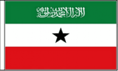 Somaliland Hand Waving Flags